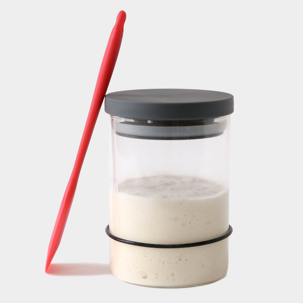 Breadtopia Sourdough Starter Kit with Jar and Tools